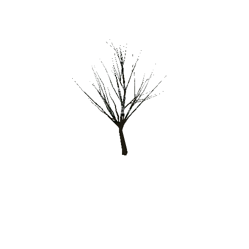 Tree 4